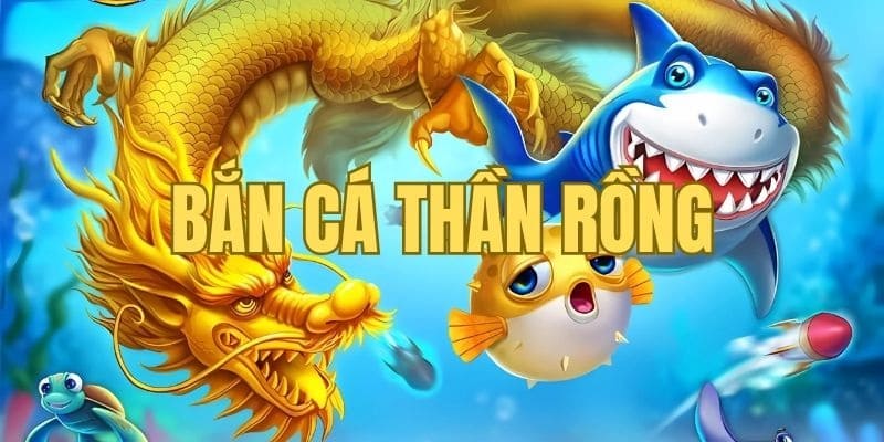 Game bắn cá rồng cung cấp nhiều cấp độ chơi cho mọi đối tượng khách hàng